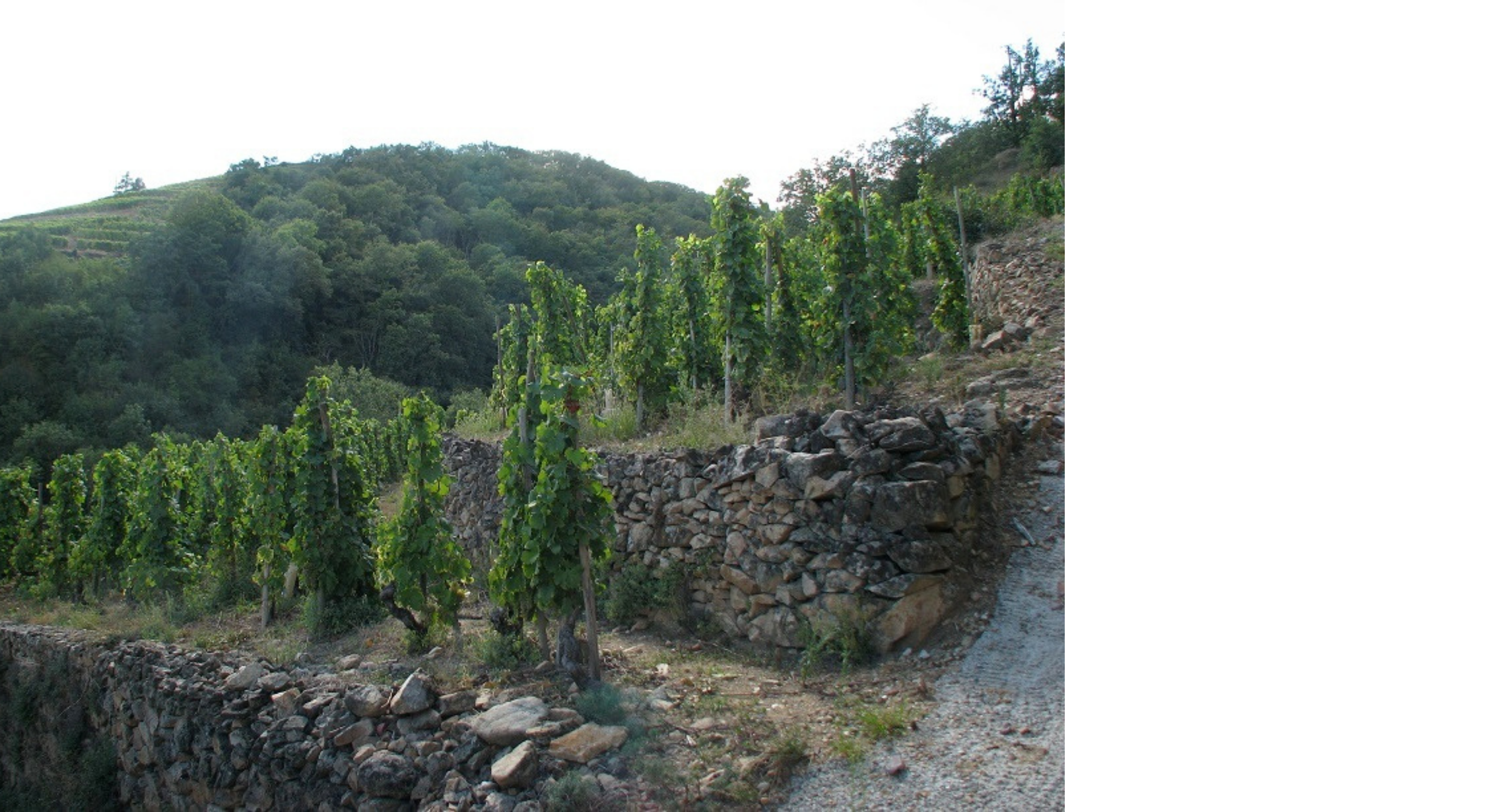 Domaine André Perret